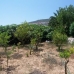 Benitachell property: Villa in Benitachell 89374