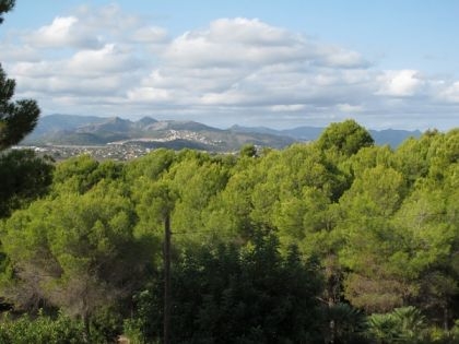 Javea property: Villa for sale in Javea 89804