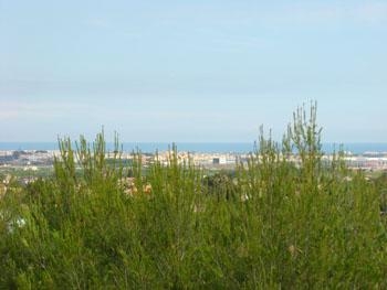 Javea property: Villa to rent in Javea, Alicante 89898