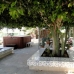 Albatera property: 4 bedroom Villa in Alicante 93738