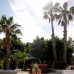Albatera property: Villa in Alicante 93738