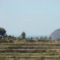 Land for sale in town 93872