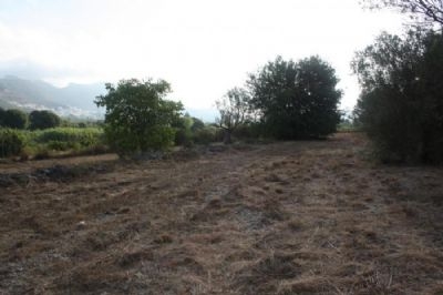 Jalon property: Land for sale in Jalon 94004