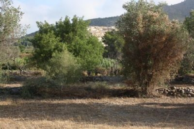 Jalon property: Land for sale in Jalon, Spain 94004
