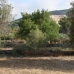 Jalon property: Jalon, Spain Land 94004