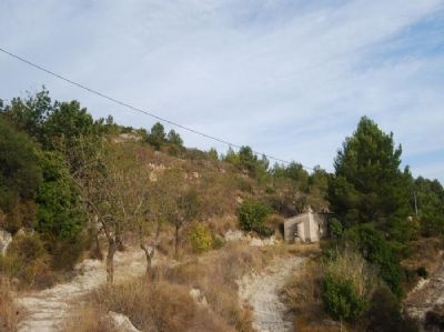 Land for sale in town, Spain 94518