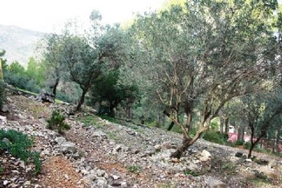 Parcent property: Villa with 3 bedroom in Parcent, Spain 94693