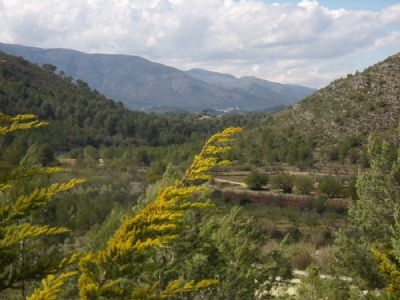 Lliber property: Villa with 3 bedroom in Lliber 94929