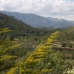 Lliber property: 3 bedroom Villa in Lliber, Spain 94929