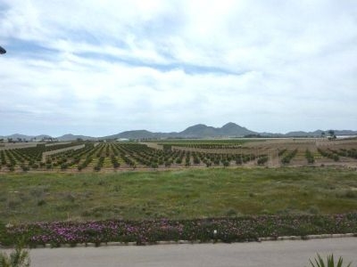 Los&nbsp;Nietos&nbsp;property:&nbsp;Villa&nbsp;with&nbsp;3&nbsp;bedroom&nbsp;in&nbsp;Los&nbsp;Nietos,&nbsp;Spain&nbsp;94937