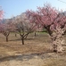 Parcent property: bedroom Land in Parcent, Spain 95394