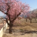 Parcent property: bedroom Land in Alicante 95394