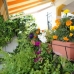 Villamartin property: Villamartin, Spain Villa 95624