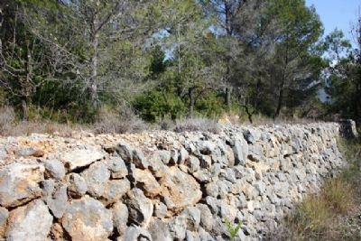 Alcalali property: Land for sale in Alcalali, Spain 95702