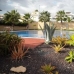 Playa Flamenca property: Playa Flamenca, Spain Penthouse 95896