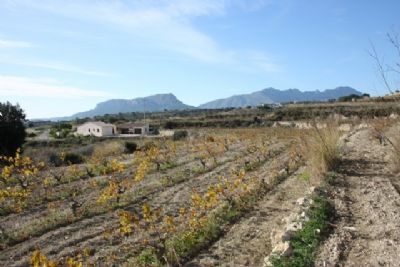 Benissa property: Land for sale in Benissa 95953