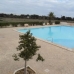 Punta Prima property: Punta Prima, Spain Apartment 96033
