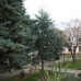 Denia property: 1 bedroom Apartment in Denia, Spain 96052