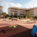 Playa Flamenca property: Apartment for sale in Playa Flamenca 96090