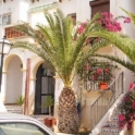 Villamartin property: Apartment for sale in Villamartin 96163
