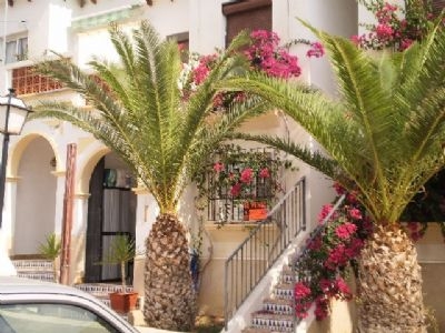 Villamartin property: Apartment for sale in Villamartin 96163