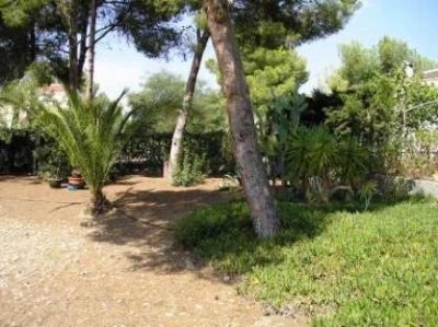 Pinar De Campoverde property: Land with bedroom in Pinar De Campoverde, Spain 96232