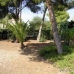Pinar De Campoverde property: bedroom Land in Alicante 96232