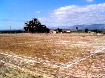 Elche property: Land for sale in Elche, Spain 96328