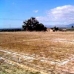 Elche property: Elche, Spain Land 96328