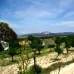 Pinoso property: Pinoso, Spain Villa 96362
