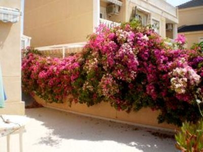 La&nbsp;Zenia&nbsp;property:&nbsp;Villa&nbsp;for&nbsp;sale&nbsp;in&nbsp;La&nbsp;Zenia,&nbsp;Spain&nbsp;96368