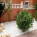 Playa Flamenca property: Playa Flamenca, Spain Apartment 96370