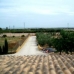 Crevillent property: 3 bedroom Villa in Crevillent, Spain 96374