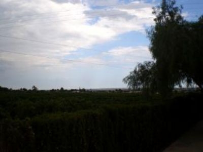 Albatera property: Villa with 4 bedroom in Albatera, Spain 96387