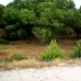 Tibi property: Tibi, Spain Villa 96405