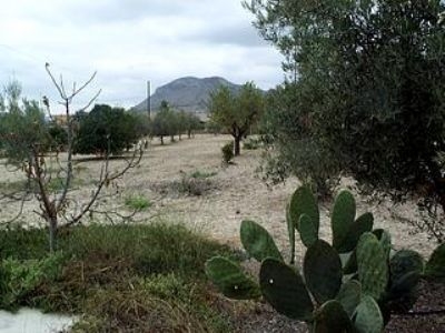 Aspe property: Villa with 3 bedroom in Aspe 96444
