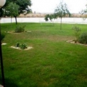 Torrevieja property: Apartment for sale in Torrevieja 96455