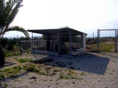 Crevillent&nbsp;property:&nbsp;Villa&nbsp;with&nbsp;3&nbsp;bedroom&nbsp;in&nbsp;Crevillent,&nbsp;Spain&nbsp;96480