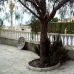 Elche property: Elche, Spain Villa 96487
