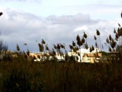 Sax property: Villa for sale in Sax, Spain 96506