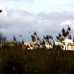 Sax property: Sax, Spain Villa 96506