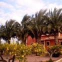 Dolores property: Villa for sale in Dolores 96562