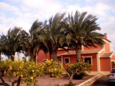 Dolores property: Villa for sale in Dolores 96562