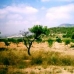 Pinoso property: 3 bedroom Villa in Pinoso, Spain 96581