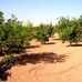 Crevillent property: 3 bedroom Villa in Alicante 96597