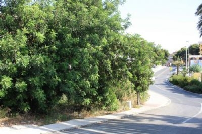 Moraira property: Land for sale in Moraira 96825