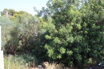 Moraira property: Land with bedroom in Moraira 96825