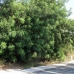 Moraira property: Land for sale in Moraira 96825