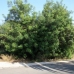 Moraira property: Moraira, Spain Land 96825