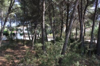 Moraira property: Land for sale in Moraira 96828